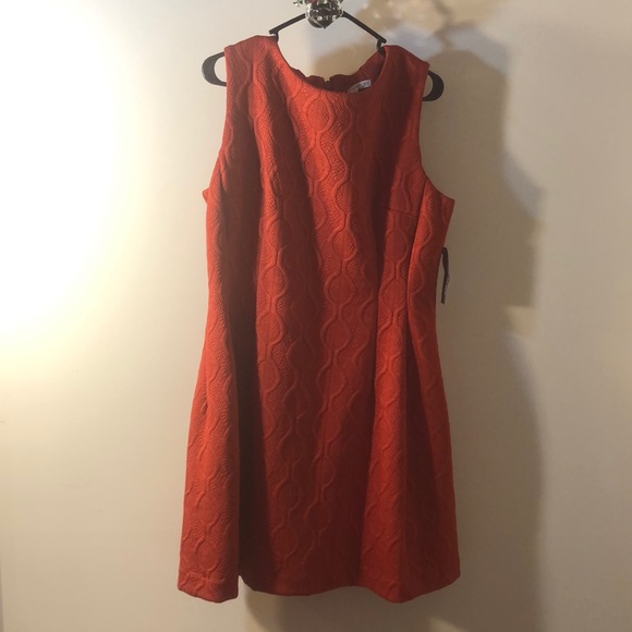 🍁brand new elegant dress Eva Mendes
